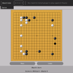 PlayGo en action sur un goban 19x19