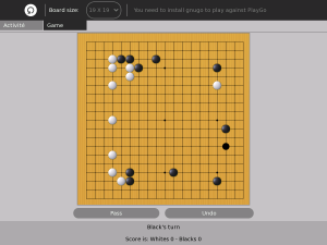 playgo19x19 PlayGo en action sur un goban 19x19