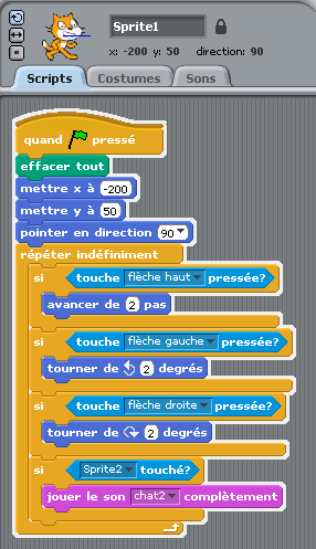 Le cadre d'édition des scripts
